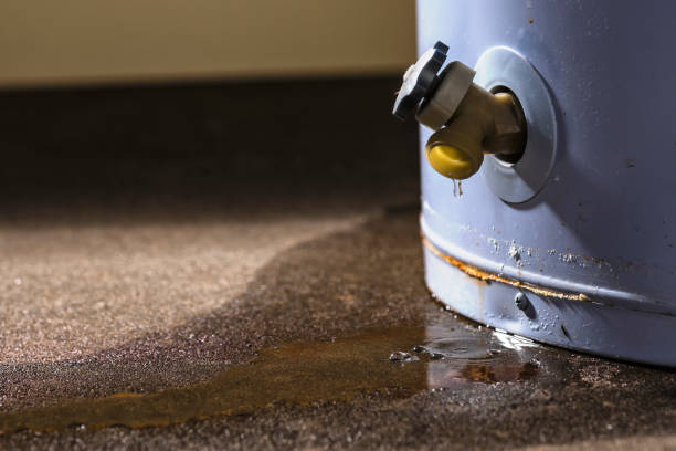 Best 24/7 water damage repair  in Buhler, KS