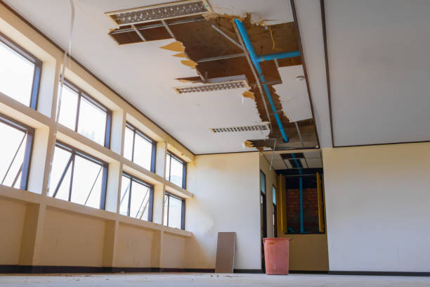 Best Ceiling water damage repair  in Buhler, KS
