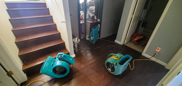 Best Water damage restoration near me  in Buhler, KS