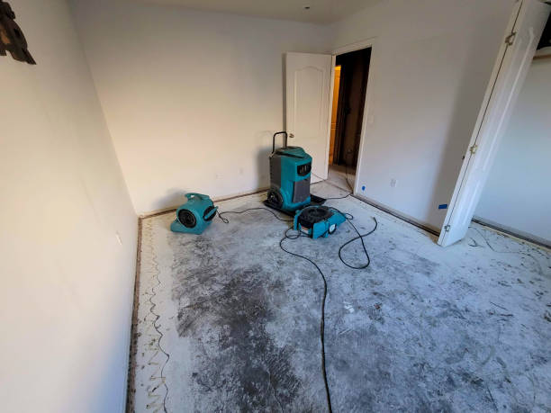 Best Water damage contractors near me  in Buhler, KS