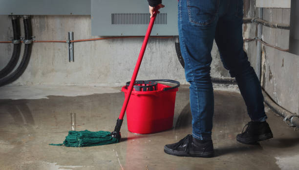 Best Water damage mitigation services  in Buhler, KS