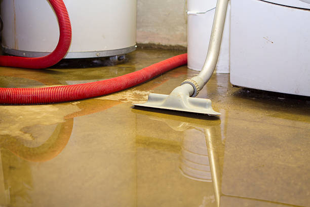 Best 24-hour water damage restoration  in Buhler, KS