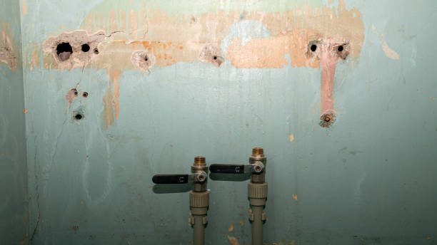 Best Water damage contractors near me  in Buhler, KS